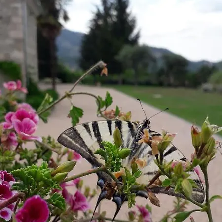 Alojamento de Acomodação e Pequeno-almoço Masseria Boutique 4*