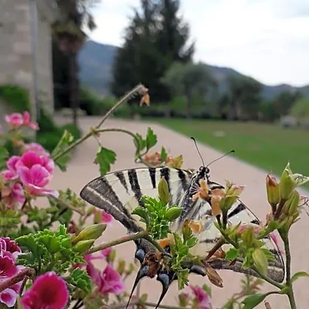 Masseria Boutique 4* Montella